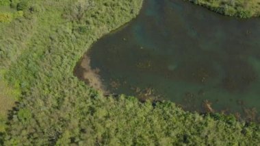 Slovenya 'daki Ravne na Koroskem şehrinin hava gösterisi