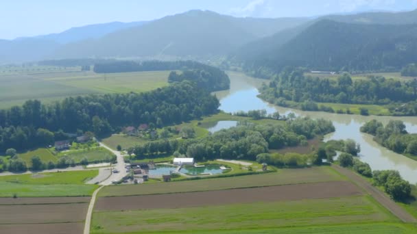 Gökyüzünden Carinthia Nın Insansız Hava Aracı Görüntüleri Drava Nehri Yeşil — Stok video