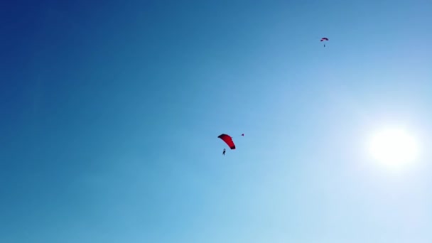 赤いパラシュートは滑り 晴れた日にスロベニアの田舎のトウモロコシ畑の近くに着陸する準備をし カメラは降下を追跡します — ストック動画