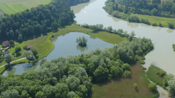 緑の木々に囲まれた川の近くのドラバ川と美しい湖の空中ドローン映像 — ストック動画