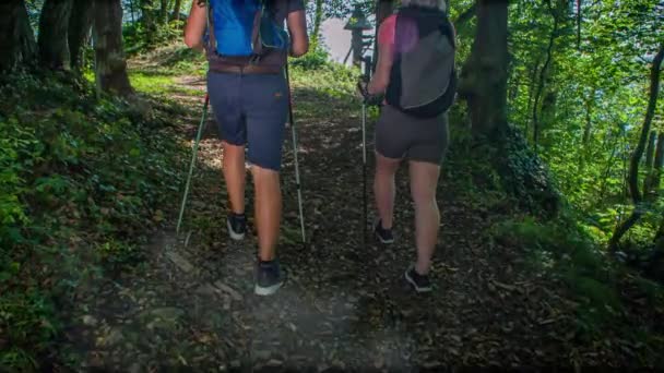 Jeune Couple Actif Avec Des Bâtons Marche Nordique Des Sacs — Video