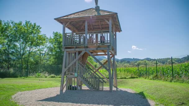 Torre Observación Madera Radlje Dravi Eslovenia Vista Ángulo Bajo Escalera — Vídeo de stock