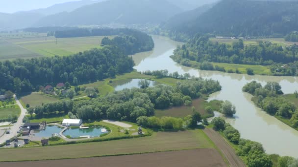 Αεροφωτογραφία Του Όμορφου Τοπίου Και Του Ποταμού Drava — Αρχείο Βίντεο
