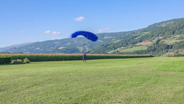 Skydiver Makes Perfect Landing Standing Cool Blue Canopy Sunny Day — Stock Video
