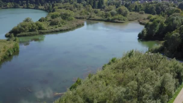 Εναέρια Αποκάλυψη Πάνω Από Λίμνη Ντράβα Σλοβενία — Αρχείο Βίντεο