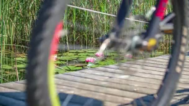 Dvě Cyklostezky Dřevěné Stezce Nad Nehybnou Vodou Zelenými Liliovými Polštářky — Stock video