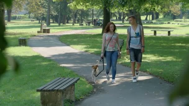 Perro y pareja en el parque — Vídeos de Stock