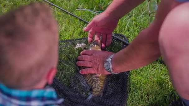 Fisher cleaning fish — Stock Video