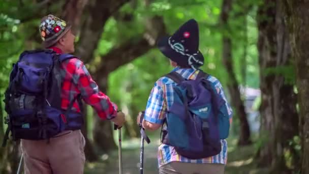 Ouple is hiking and observing the trees — Stock Video