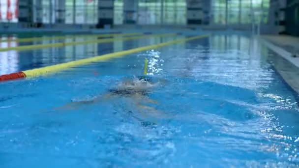 Undervater zwemmen in zwembad — Stockvideo