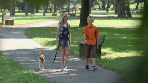 Twee kinderen met de hond wandelen — Stockvideo