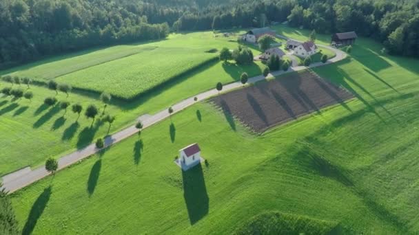 Zomerdag op het platteland — Stockvideo