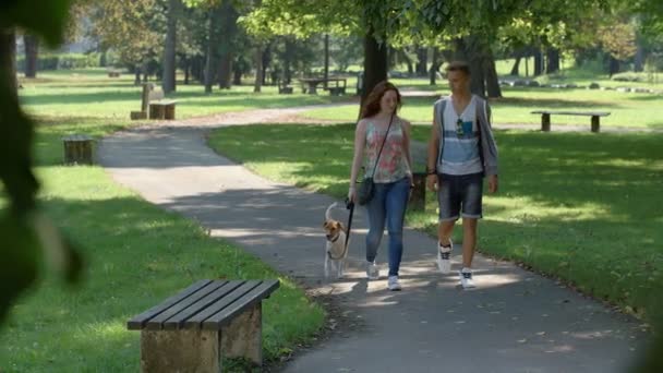 Pareja enamorada está caminando — Vídeo de stock