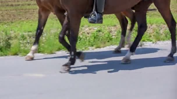 Uomini che cavalcano a cavallo Carrozza sulla cerimonia nuziale — Video Stock