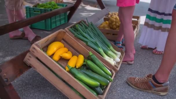 Verkoop verse groenten bij het opstarten — Stockvideo