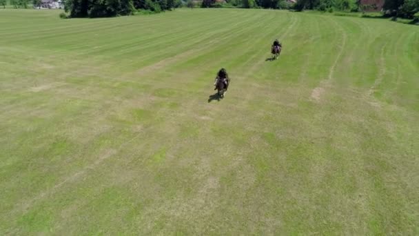 Soldati che cavalcano i loro cavalli sta andando in battaglia — Video Stock