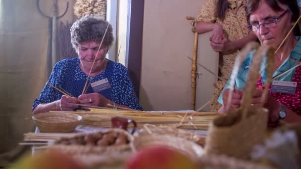Birkaç knitters bir alanda bir saman bize Oda örgü örgü — Stok video