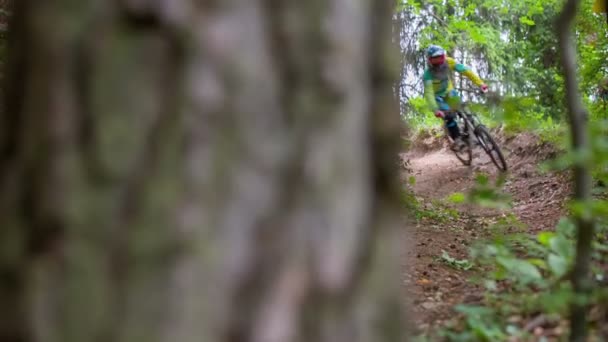 Downhill passeio de bicicleta — Vídeo de Stock