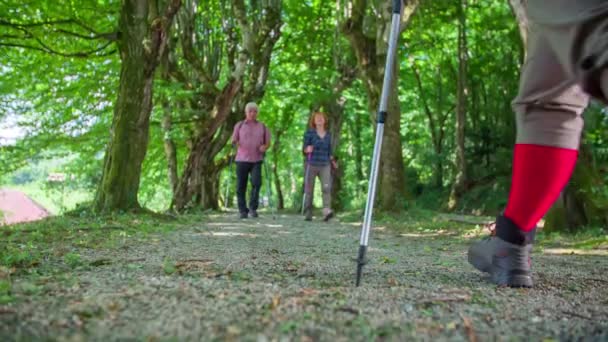 Hikers greeting  each other — Stock Video