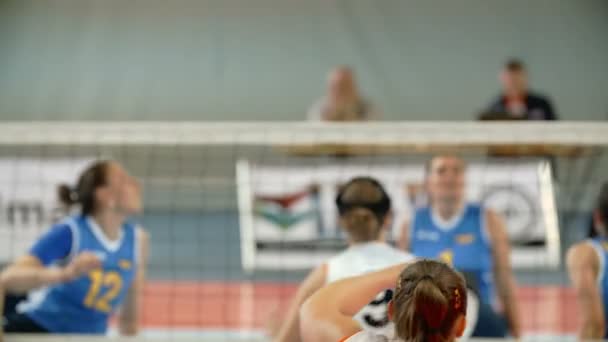 Jugadores jugando Voleibol sentado — Vídeos de Stock