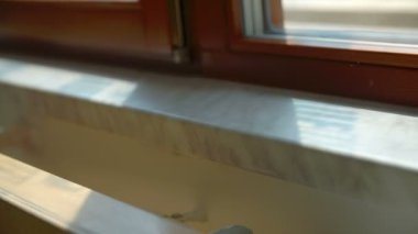 Yenilenmiş yer bina içinde yer alır