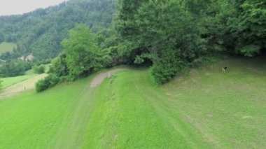 Yokuş aşağı binici biniyor