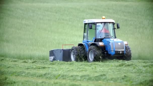 Campo di aratura del trattore — Video Stock