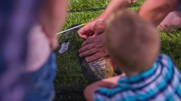 Fisher tomando pescado de gancho de pescado — Vídeos de Stock