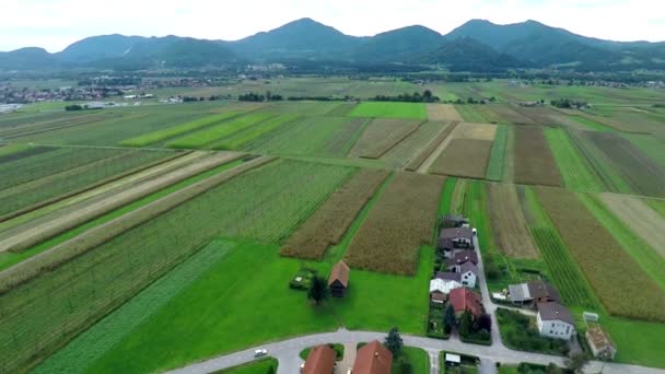 Landscape with its fields of corn and wheat — ストック動画