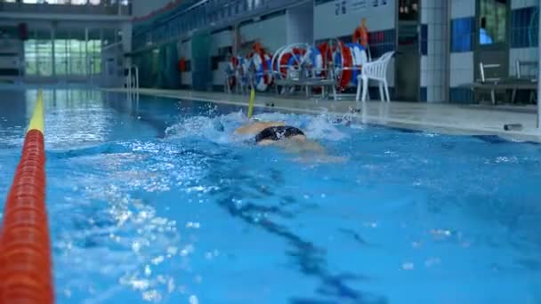 Hombre nadando bajo el agua en la piscina — Vídeo de stock