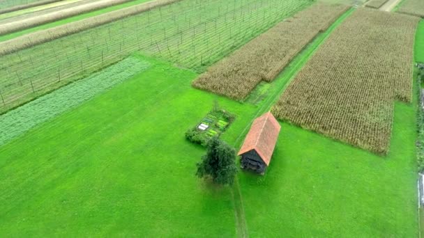 Hayrack yang terletak di sisi sebuah kota kecil — Stok Video