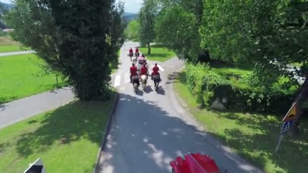 Människor ridning i hästskjuts på bröllop — Stockvideo