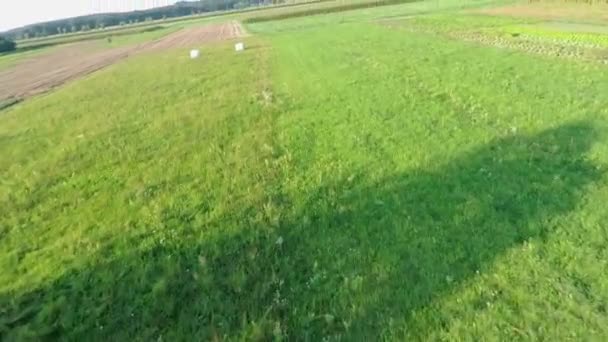 Skydiver çimenlerin üzerinde açılış — Stok video
