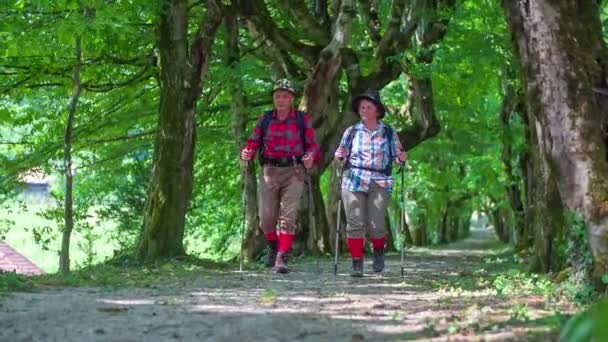 Um casal de idosos está caminhando na natureza — Vídeo de Stock