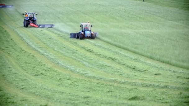 Tractoren ploegen veld — Stockvideo