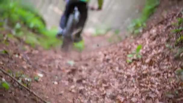 Twee fietsers rijden snel — Stockvideo