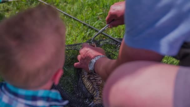 Chłopiec ogląda fisher — Wideo stockowe