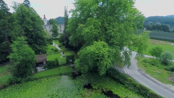 parc vert avec sa végétation .