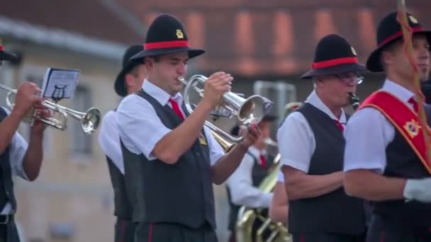 Sångare som sjunger på traditionellt bröllop — Stockvideo