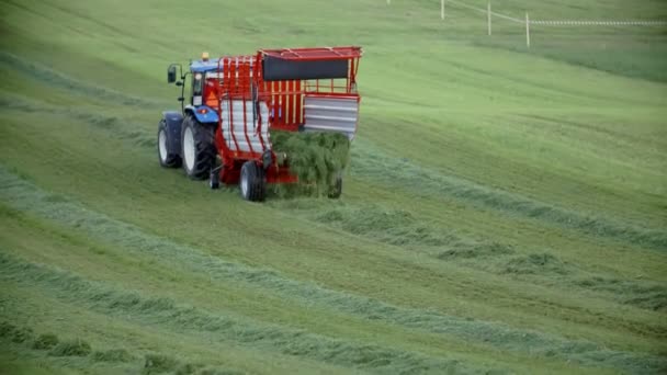 Campo di aratura del trattore — Video Stock