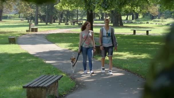 Casal apaixonado por cão caminhando — Vídeo de Stock