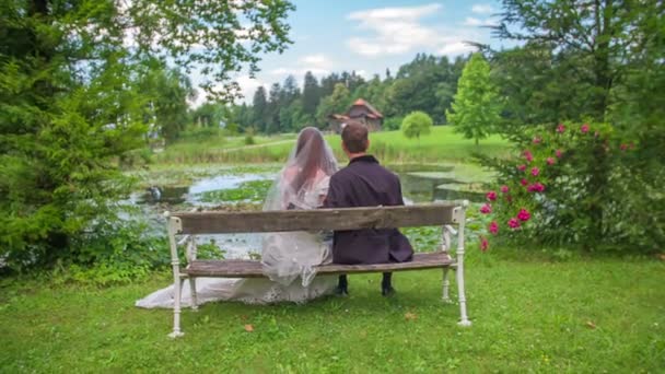 Couple marié est assis — Video