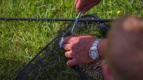 Fischer fischt Fisch aus Fischernetzen — Stockvideo