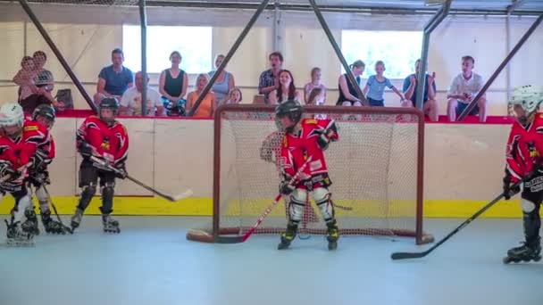 Hokejisté na hokejový trénink — Stock video