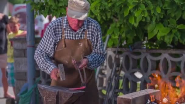 Makaleleri üzerinde rustik Fuarı demir imalat — Stok video