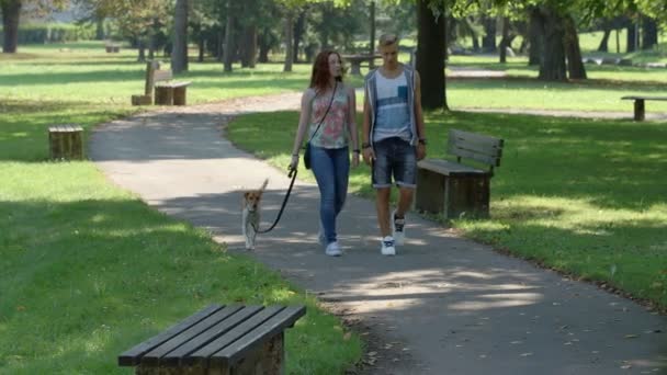 Adolescentes gastando seu tempo livre — Vídeo de Stock