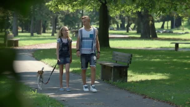 Adolescentes gastando seu tempo livre — Vídeo de Stock