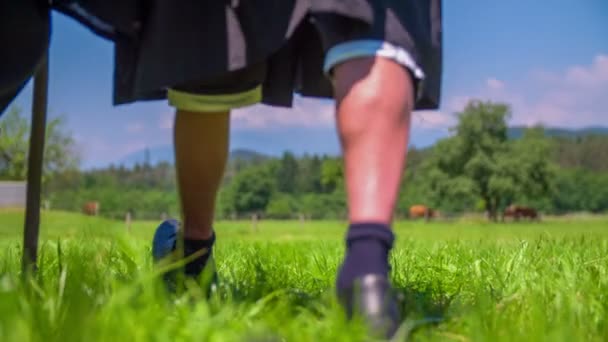 Exércitos históricos está lutando no gramado verde — Vídeo de Stock