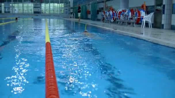 Hombres buceando en la piscina — Vídeo de stock