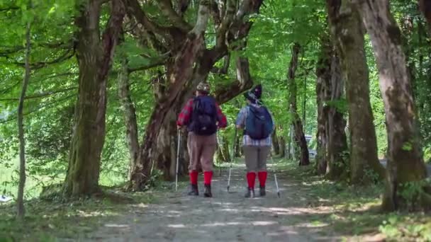 Man en zijn vrouw lopen — Stockvideo